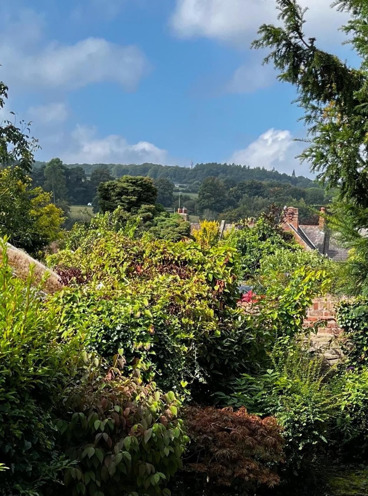 Flower Cottage By Ludlow Castle With Onsite Parking Екстериор снимка