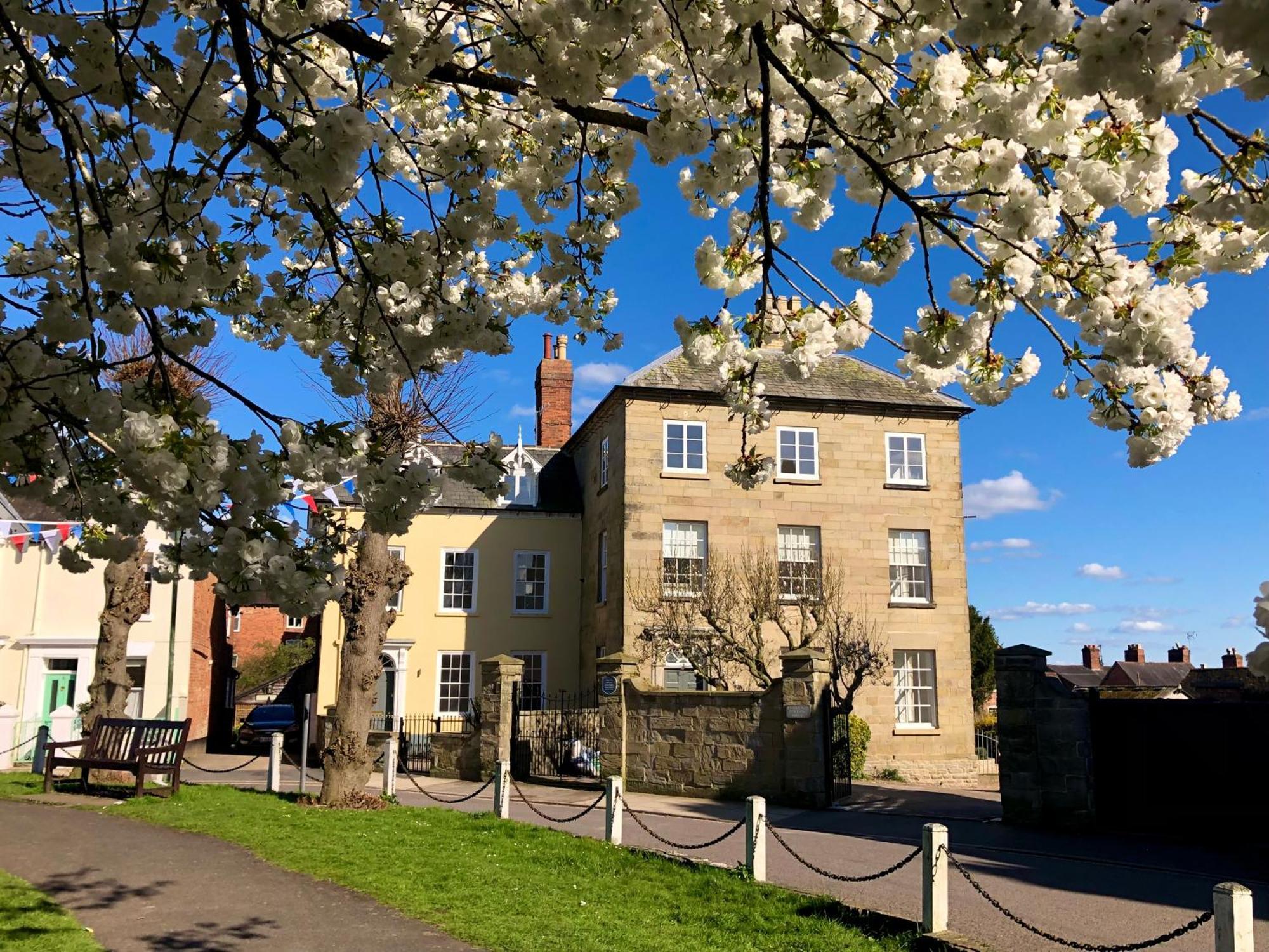 Flower Cottage By Ludlow Castle With Onsite Parking Екстериор снимка